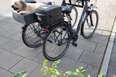 Das Doppelfahrrad